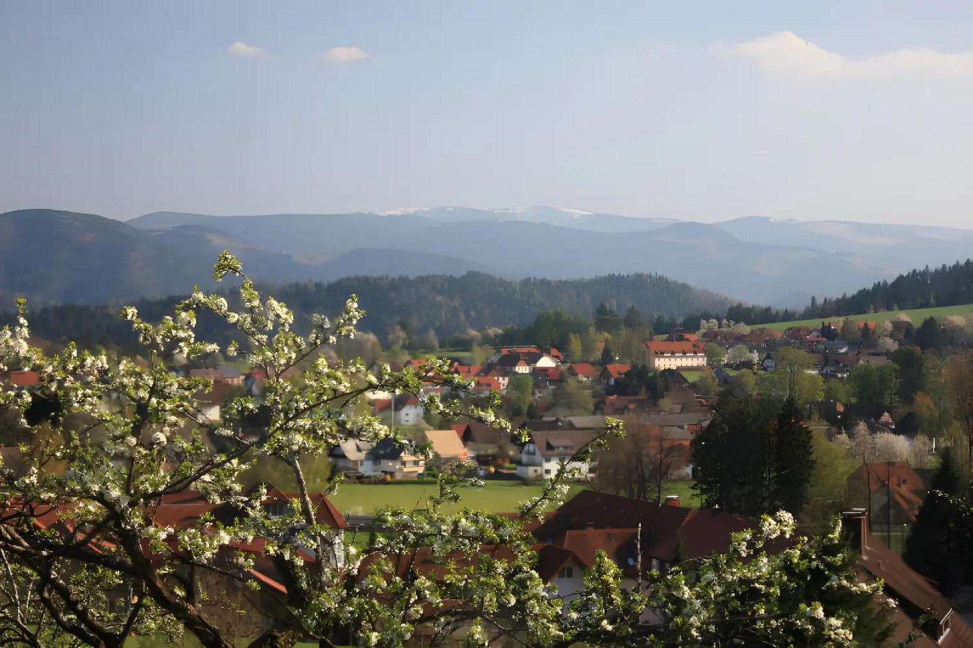 Ferien Auf Dem Steingrubenhof Apartment แซงค์ตปีเทอร์ ภายนอก รูปภาพ
