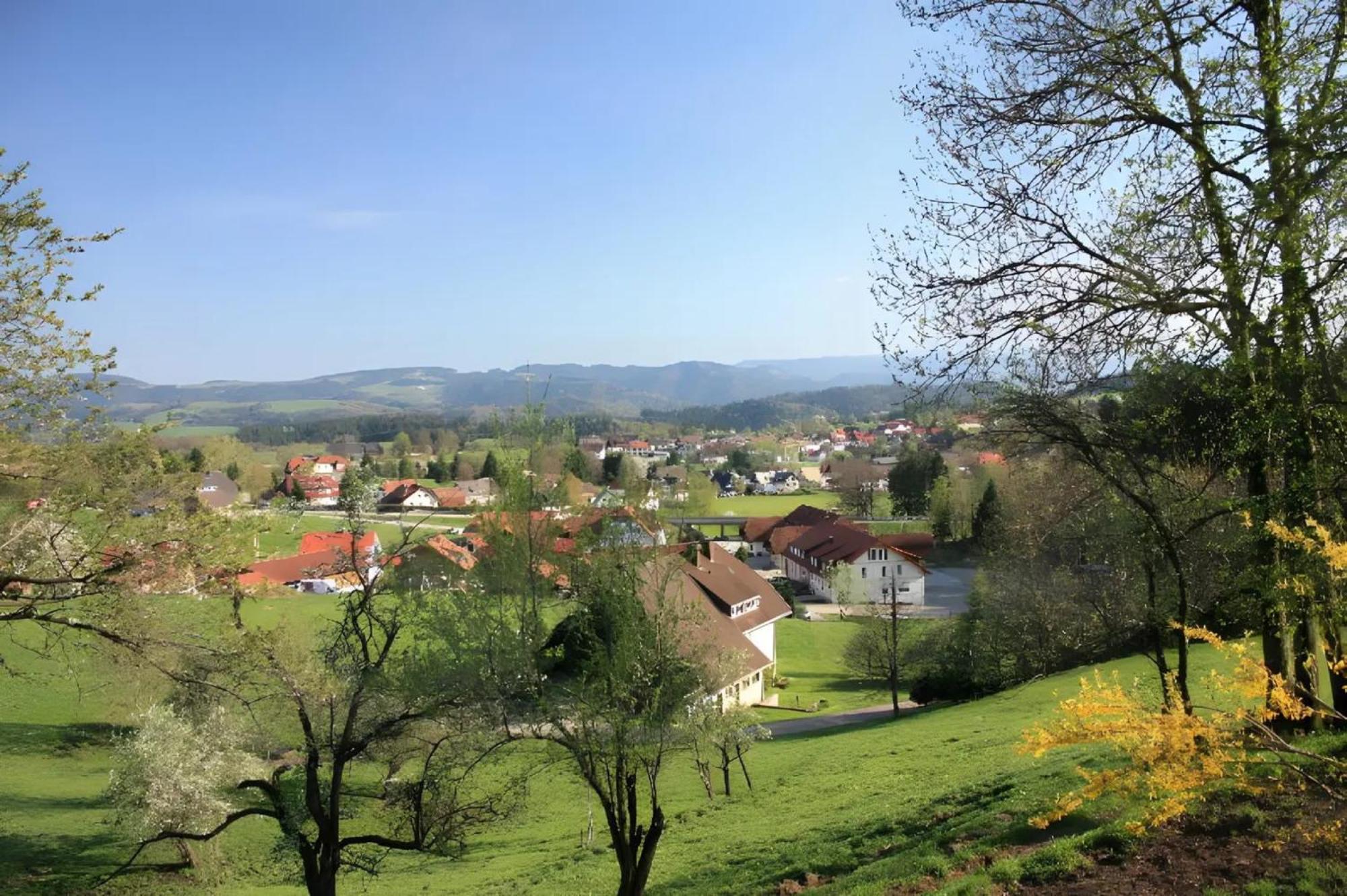 Ferien Auf Dem Steingrubenhof Apartment แซงค์ตปีเทอร์ ภายนอก รูปภาพ