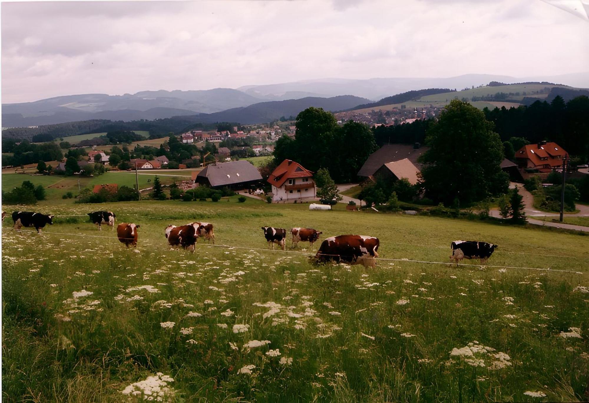 Ferien Auf Dem Steingrubenhof Apartment แซงค์ตปีเทอร์ ภายนอก รูปภาพ