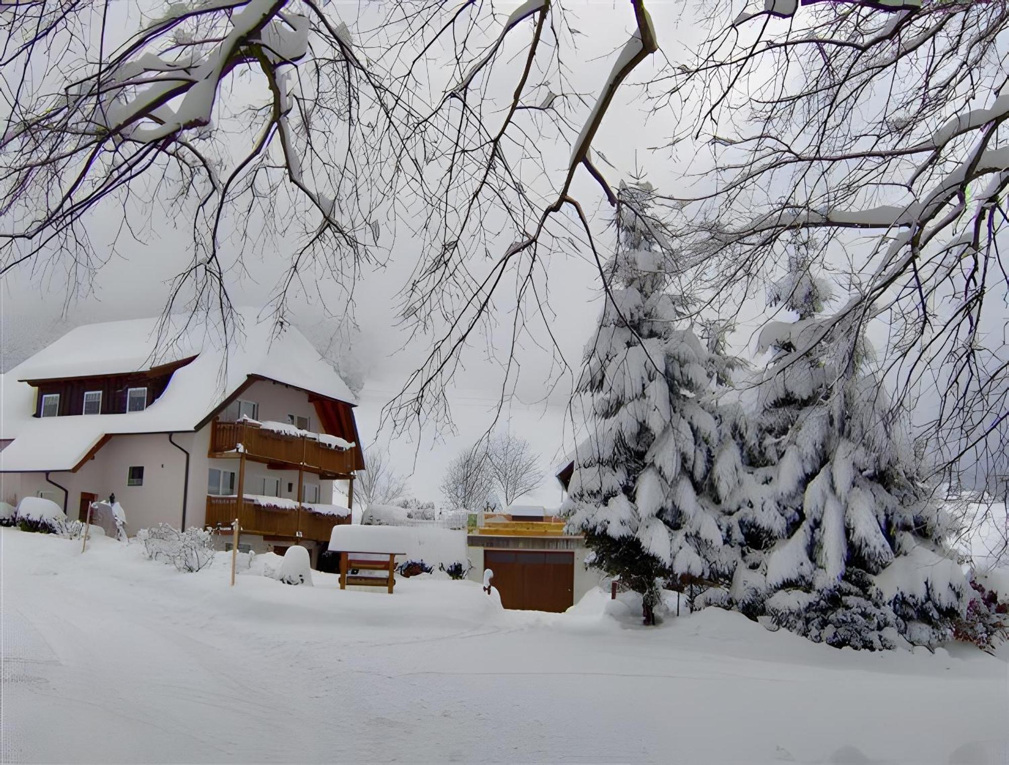 Ferien Auf Dem Steingrubenhof Apartment แซงค์ตปีเทอร์ ภายนอก รูปภาพ
